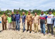 BUMDES Tinggi Raja Tanam Jagung Satu Hektar